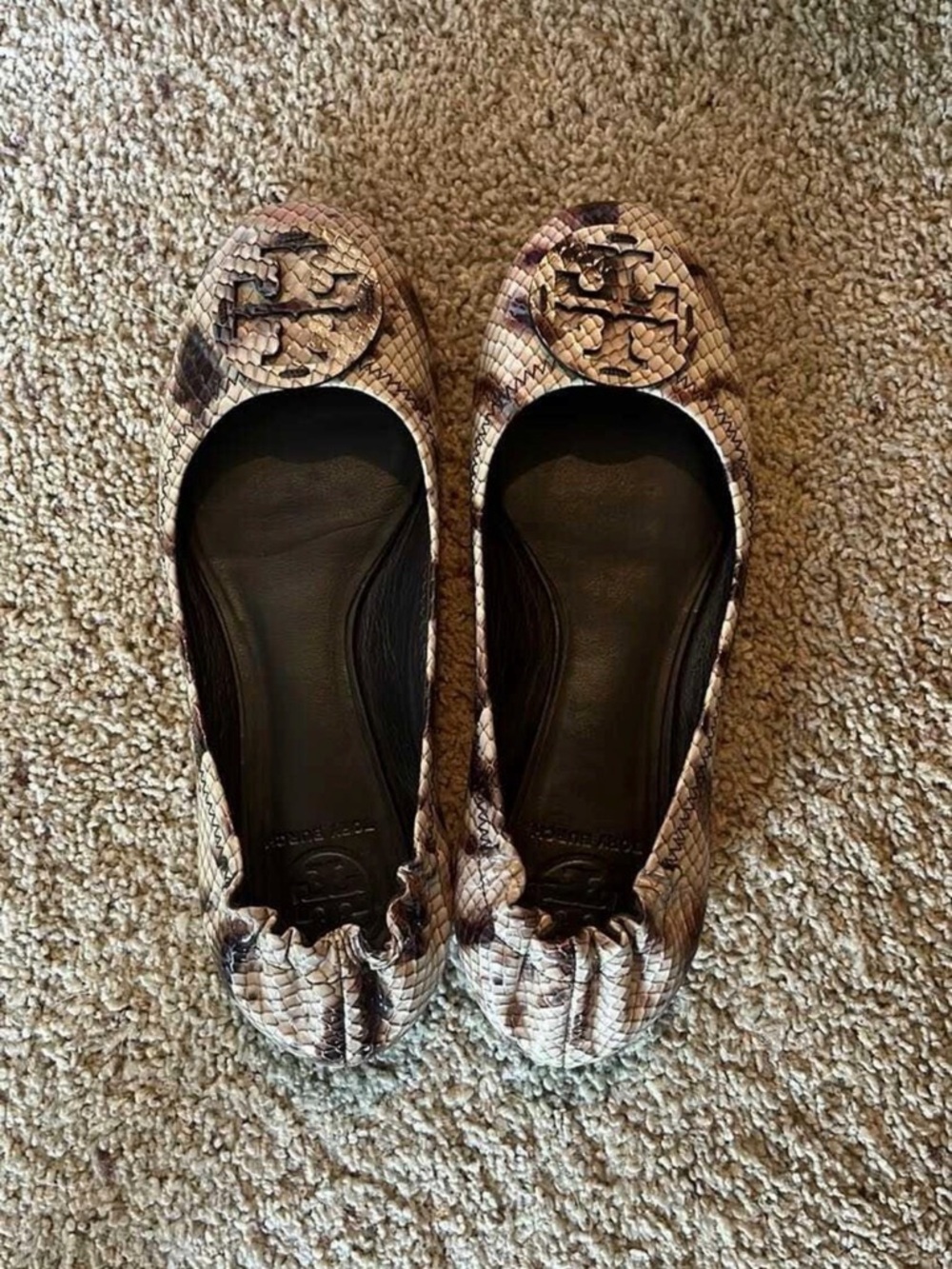 Tory Burch Snake-Print Logo Ballet Flats in Brown and Black